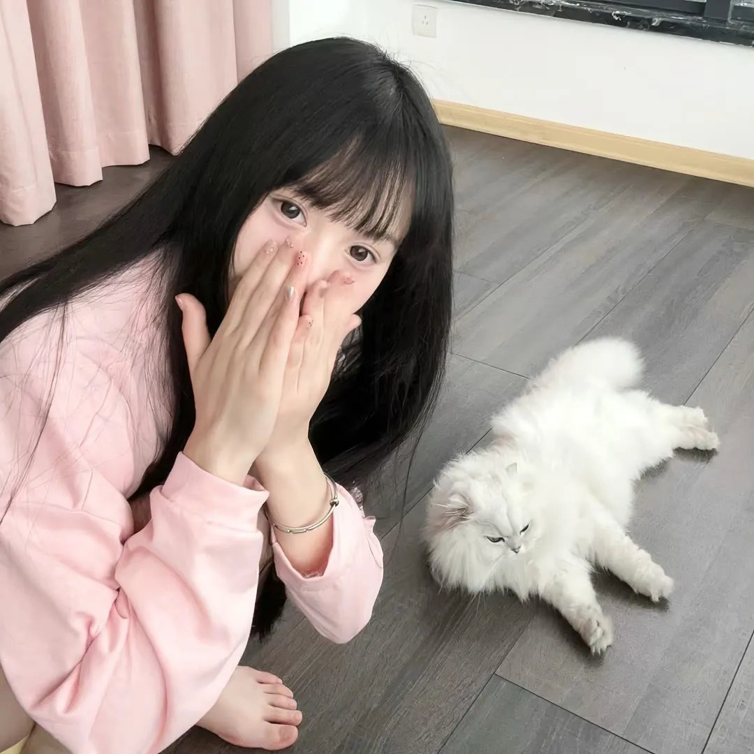 动画番剧